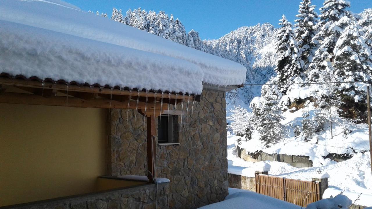 Elatos Cozy Studio Ано-Трикала Экстерьер фото